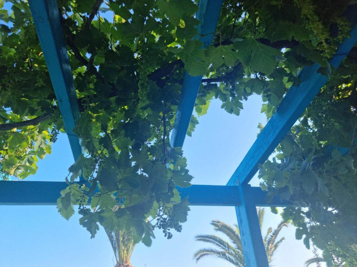 Artemis Aparthotel Makrýgialos Buitenkant foto